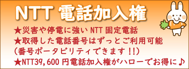NTT電話加入権　固定電話