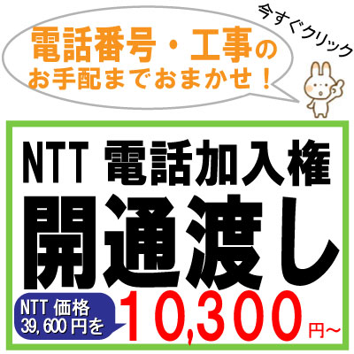 dbFJʓn10,300~`