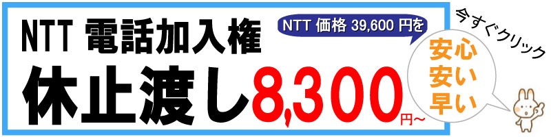 �d�b�������F�x�~�n����8,300�~�`