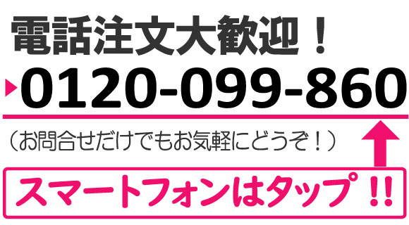 エンターテック 通信カラオケPK-WA100(S）マイク2本セット パーソナル