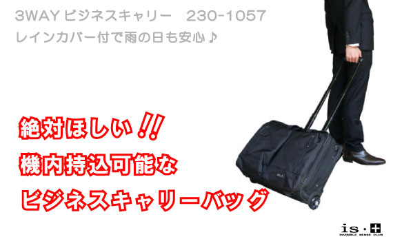 Business Master�i�r�W�l�X�}�X�^�[�j���^�r�W�l�X�L�����[�o�b�O�@265-3834